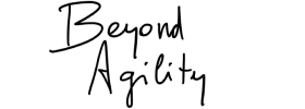 Beyond Agility